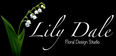 Homepage