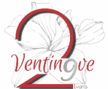 Ventinove Events
