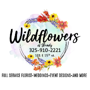 Wildflowers Of Brady