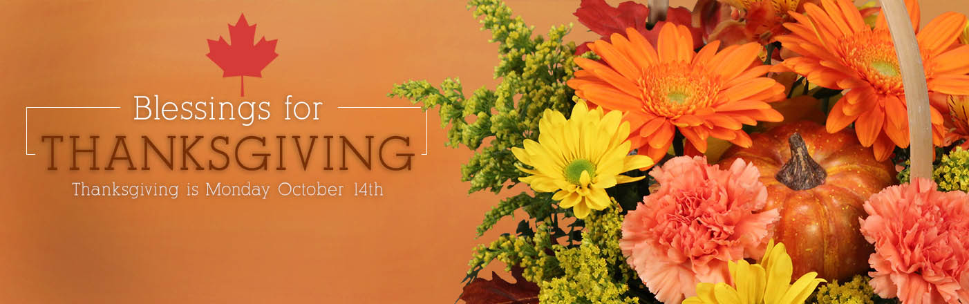 Shop Flowers Now