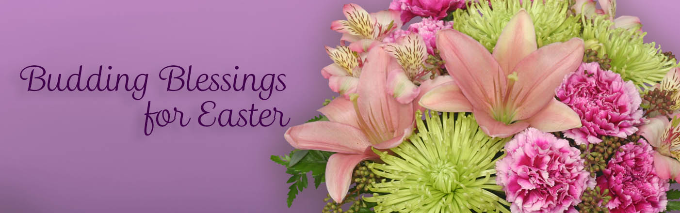 Shop Flowers Now