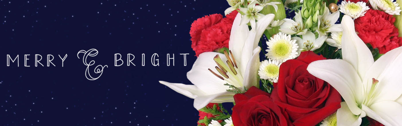 Shop Holiday Flowers Now