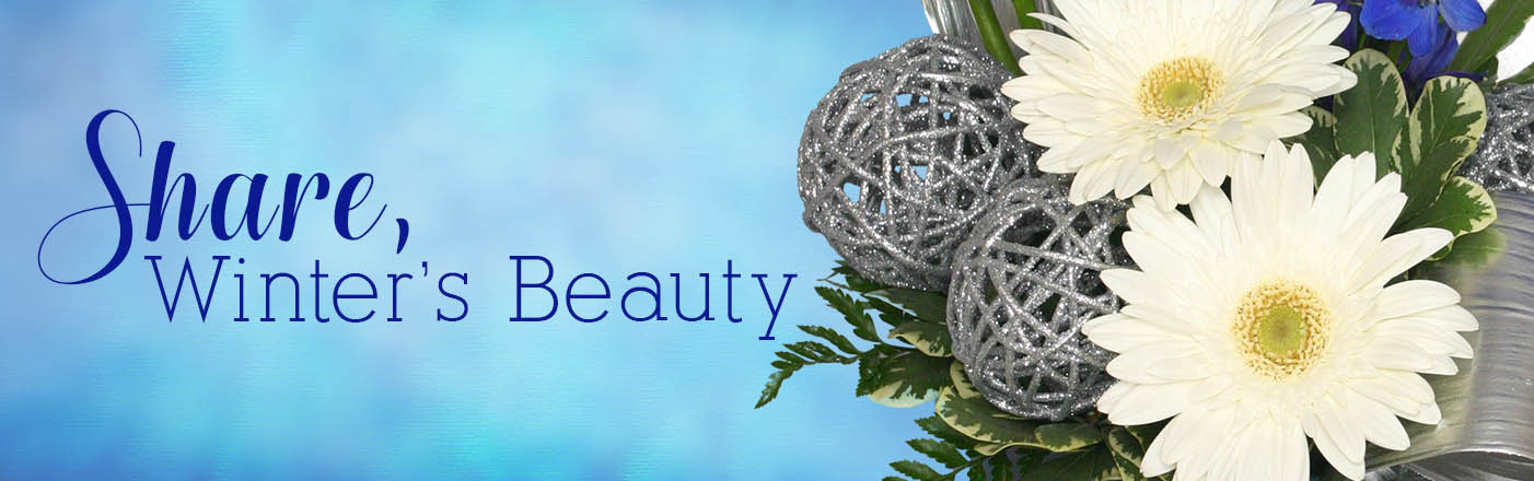 Shop Winter Flowers Now