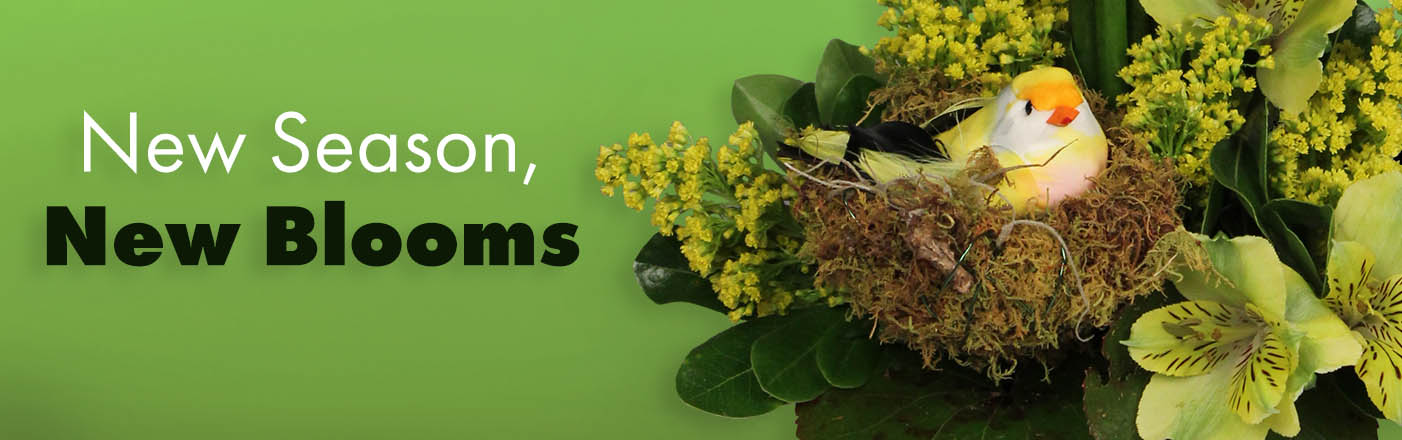 Shop Flowers Now