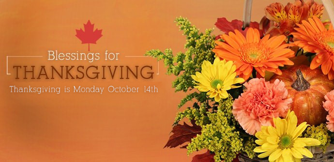 Shop Flowers Now