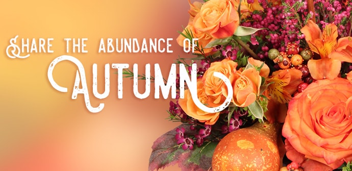 Send Fall flowers today!