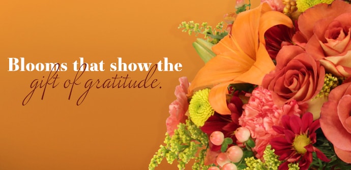 Shop Flowers Now