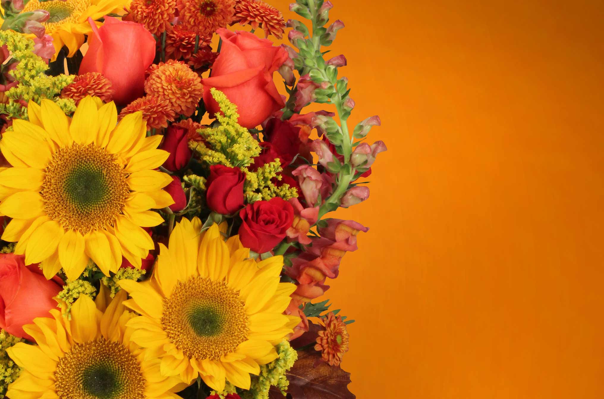 Absolutely Flowers